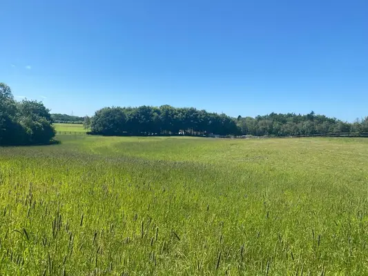 Saniertes Wohnhaus mit 6 Pferdeboxen, Reitpaltz, Weiden mit Holzzaun ( 8ha Land) in Alleinlage