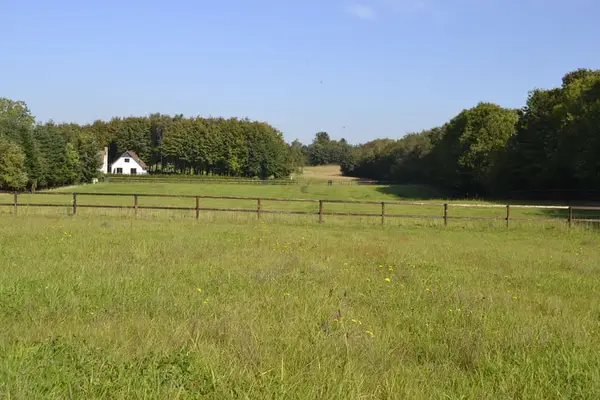 Saniertes Wohnhaus mit 6 Pferdeboxen, Reitpaltz, Weiden mit Holzzaun ( 8ha Land) in Alleinlage