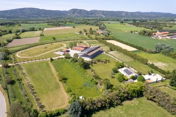 Criadero de caballos de deporte de alta calidad