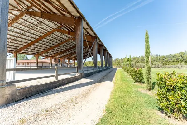 Hochwertiges Sportpferdegestüt