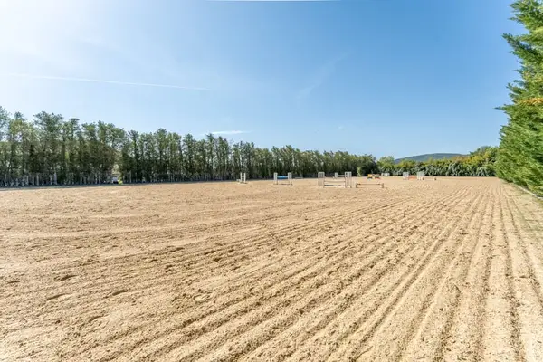 Hochwertiges Sportpferdegestüt