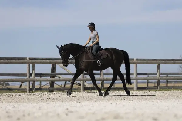 Reitanlage mit außergewöhnlichem Potenzial