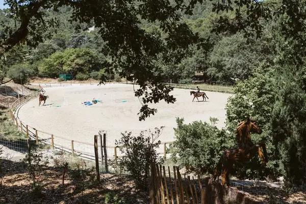 Reitkunst auf höchstem Niveau und Lebensart aus der Provence