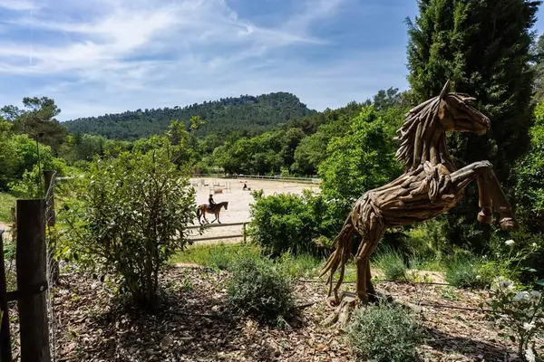 Reitkunst auf höchstem Niveau und Lebensart aus der Provence