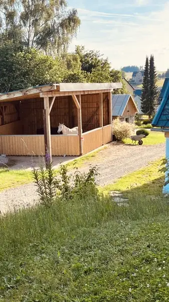 Praktikant/Praktikantin gesucht