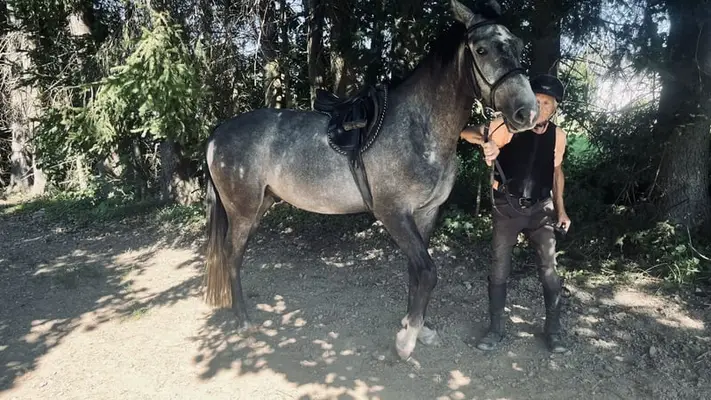 Sportlich eleganter Schimmel von Klapscheut