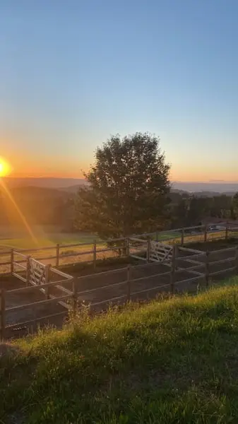 Ferienwohnung im Allgäu auf Gut Buchenhof