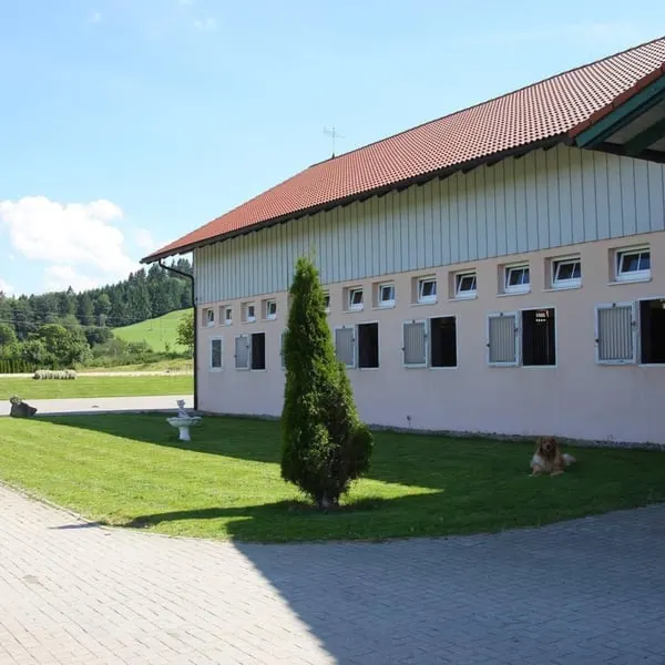 PFERDEPFLEGER/ Stallhelfer