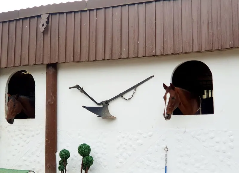 Reitanlage für Sport und Freizeitreiter