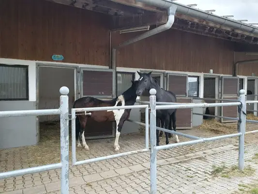 Reitanlage für Sport und Freizeitreiter