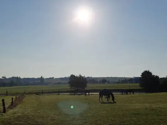 Reitanlage für Sport und Freizeitreiter