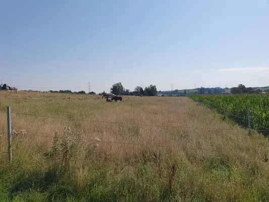 Reitanlage für Sport und Freizeitreiter