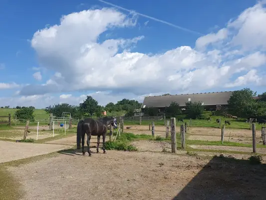 Reitanlage für Sport und Freizeitreiter