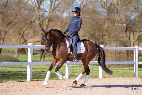 ✨ Grand Slam – German Sport Pony (DRP), 6 yo Dressage prospect