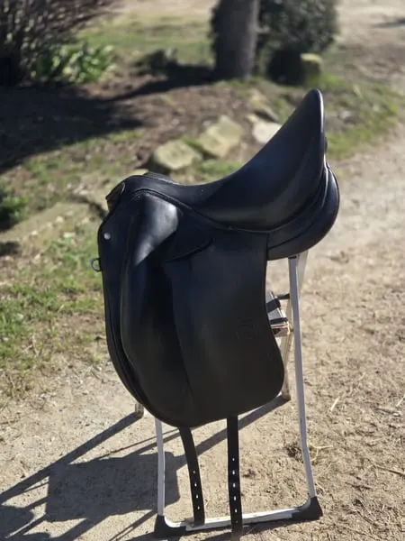 ✨ Selle Childeric DPL 17.5 – 2020 ✨