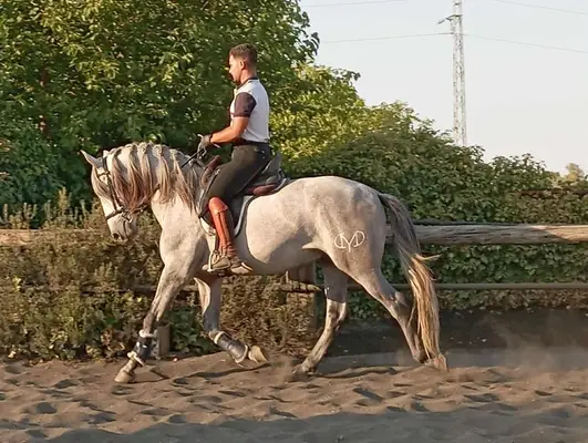 Suchst du nach etwas Besonderem? SCHAU, WAS WIR FÜR DICH HABEN.