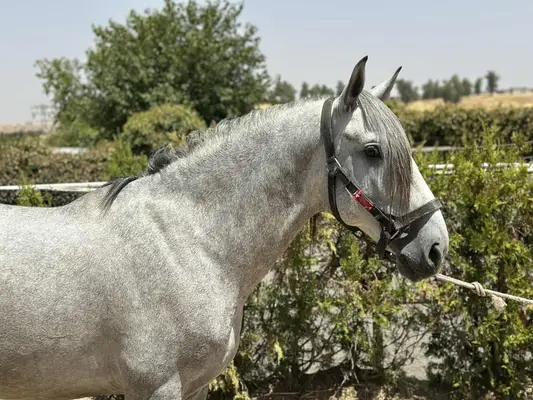 Suchst du nach etwas Besonderem? SCHAU, WAS WIR FÜR DICH HABEN.