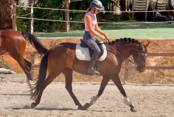 Der liebenswerteste Pony