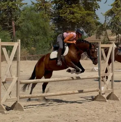 Der liebenswerteste Pony