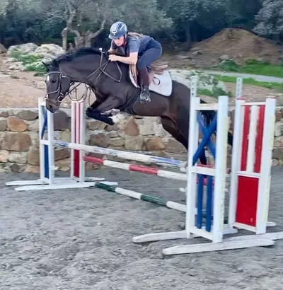 Der liebenswerteste Pony