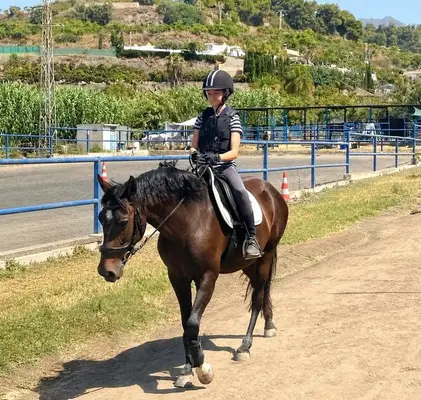 Der liebenswerteste Pony