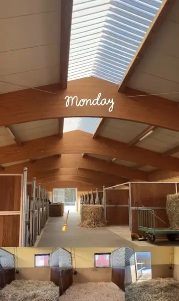 Freie Boxen in unserer Reitsportanlage in Metzenhof!