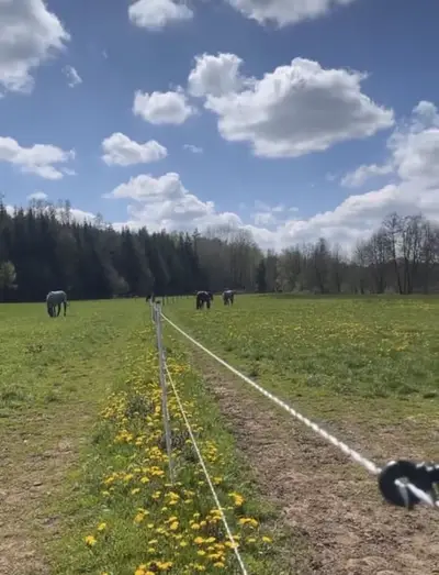 Freie Boxen in unserer Reitsportanlage in Metzenhof!