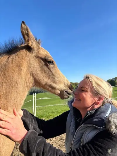 Vielversprechender, freundlicher Buckskin Bub