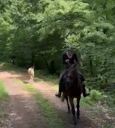 Vielversprechender, freundlicher Buckskin Bub