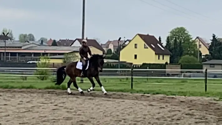 Leo - mit viel Potential