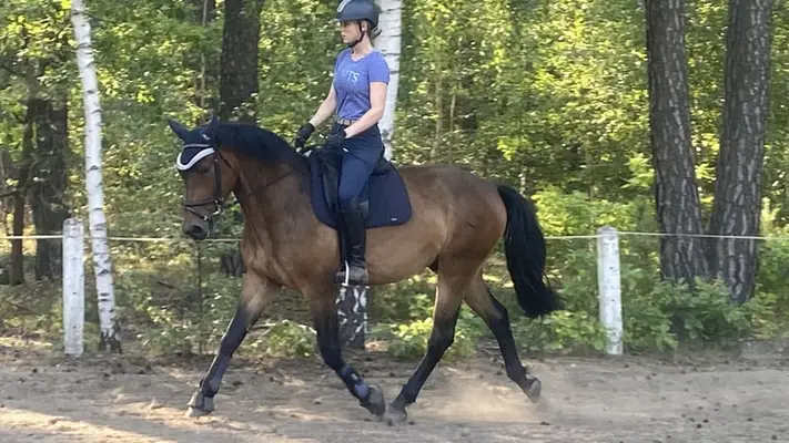 Leo - mit viel Potential