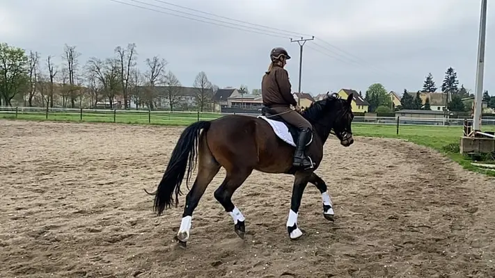 Leo - mit viel Potential
