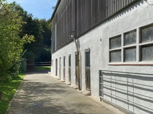 Freie Aufzuchtplätze für Absetzer (Stute/Hengst) & Jährlingsstuten auf dem Borner Hof