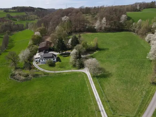 Freie Aufzuchtplätze für Absetzer (Stute/Hengst) & Jährlingsstuten auf dem Borner Hof