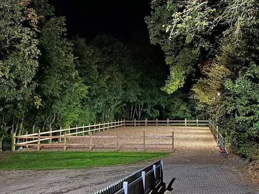 Freie Aufzuchtplätze für Absetzer (Stute/Hengst) & Jährlingsstuten auf dem Borner Hof