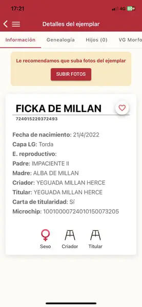Ficka de Millán