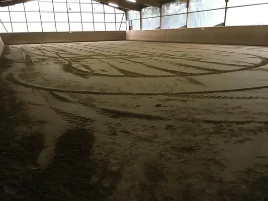 Traumhafte Reitsportanlage in bester Lage zwischen Natur, Stadt und Nordsee