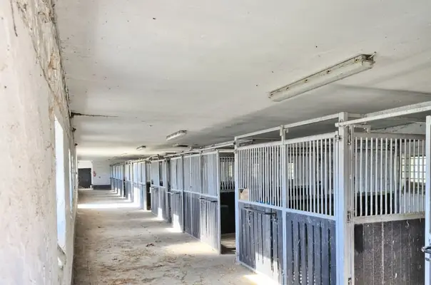 Einmalige Reitanlage bei Potsdam mit 16 Hektar arrondiertem Land