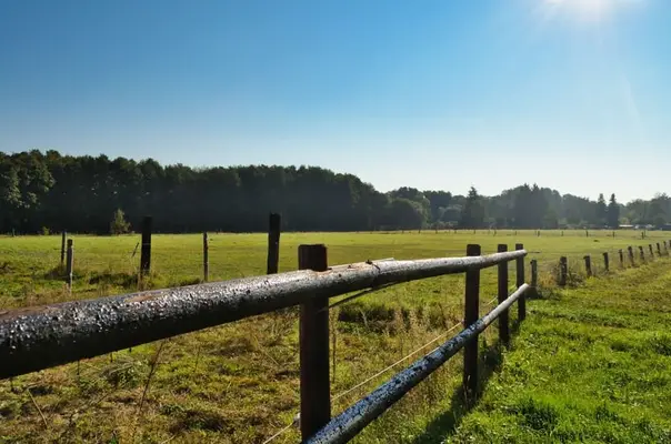 Einmalige Reitanlage bei Potsdam mit 16 Hektar arrondiertem Land