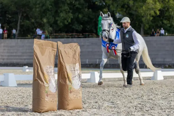 Das ALLESKÖNNER HANF&KRÄUTER Müsli für dein Pferd