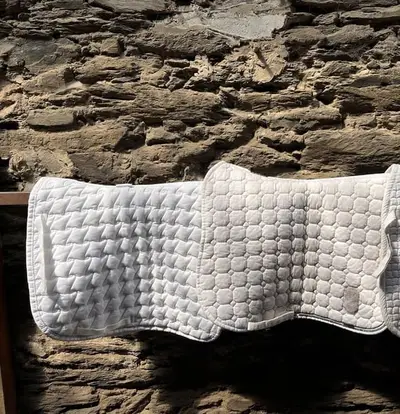 Mehrere weiße Schabracken (Equiline, Eskadron, ANKY, Felix Bühler)