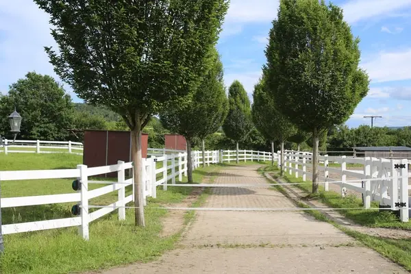 EXKLUSIVE REITANLAGE IM NECKAR-ODENWALD-KREIS - Objekt Nr. 385-25