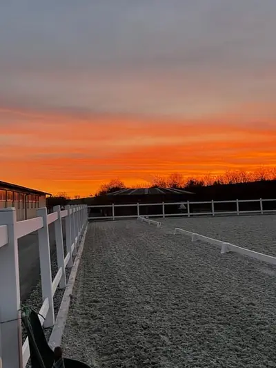 Exklusive Reitsportanlage mit moderner Lagerhalle bei Mühldorf - 388-26