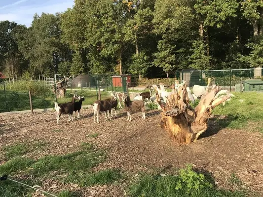 GREEN CARE PROJEKT -TRAUMHAFTES ANWESEN IM AUSSENBEREICH MIT SONDERBEBAUUNGSPLAN - 376-24