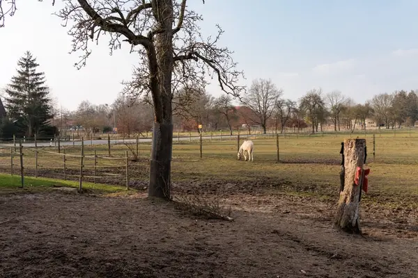 Großzügiges Anwesen mit Pferdehaltung, Ferienwohnung, Bauplätzen und vielseitigem Nutzungskonzept!