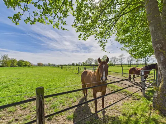 Exklusives Anwesen mit stilvollem Wohnhaus, weitläufigen Weiden und außergewöhnlicher Reitanlage