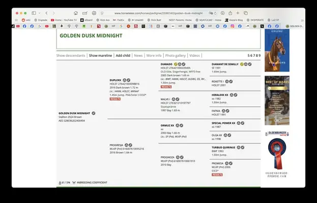 Zukünftiger Springreiter verfügbar