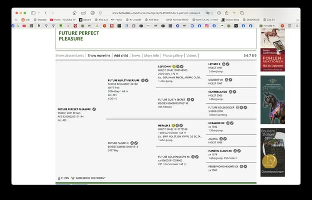 Es sieht so aus, als hätten Sie nur "ms" eingegeben. Bitte senden Sie den vollständigen Text des Pfe