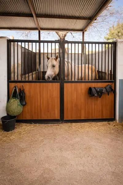 Haus mit Reitanlage