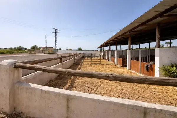 Haus mit Reitanlage